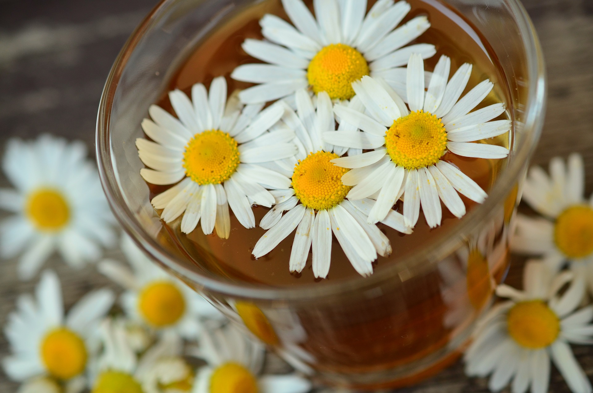 chamomile_img